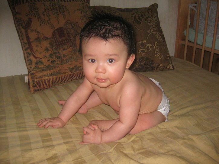 93286259_40029921_middle