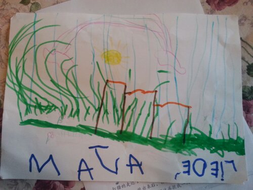 20130711_210358.jpg image